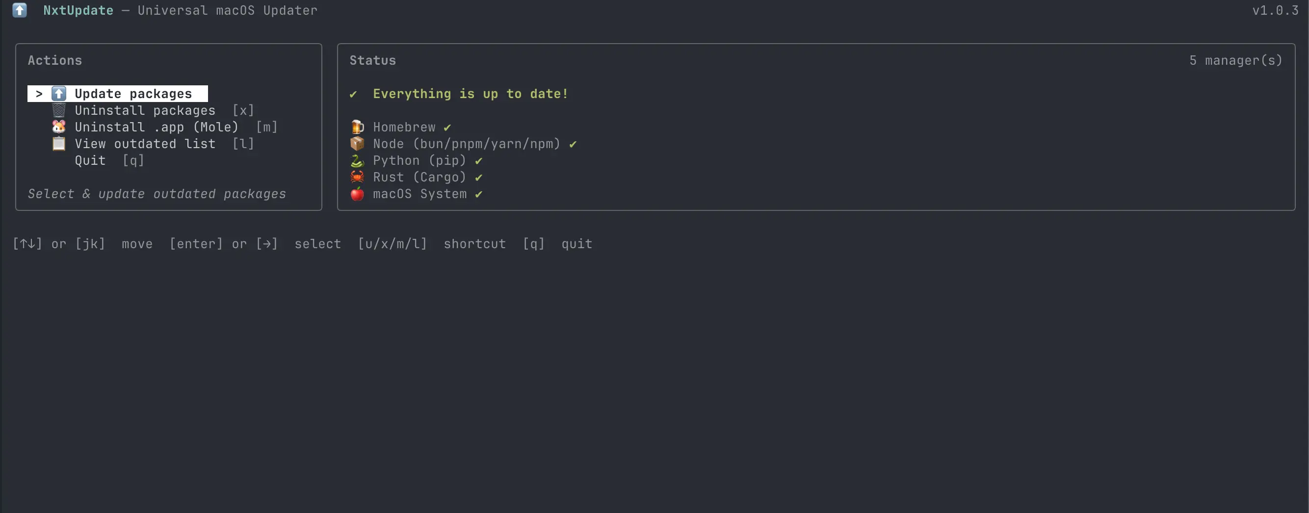 Interface terminal de NxtUpdate listant les paquets à mettre à jour
